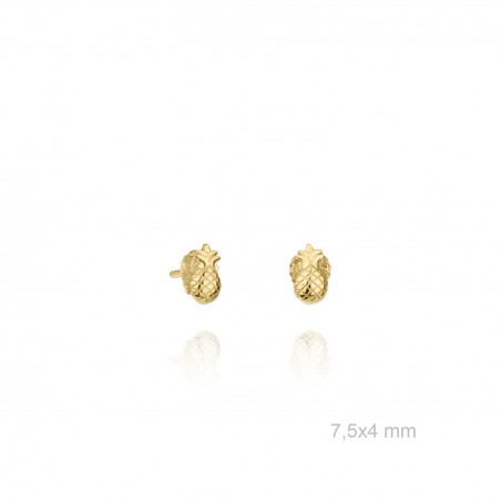 Boucles d'oreilles en Argent