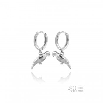 Silver Earrings