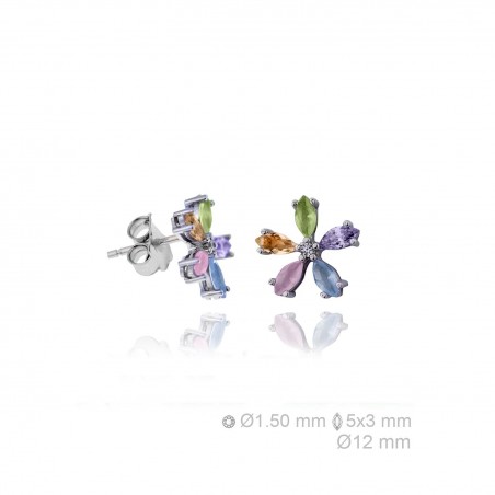 Boucles d'oreilles en Argent