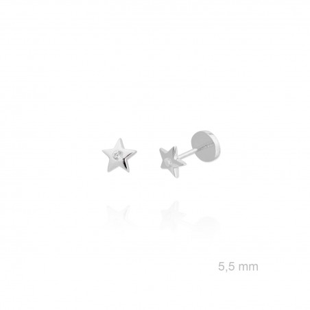 Silver Earrings with Cubir Zirconium