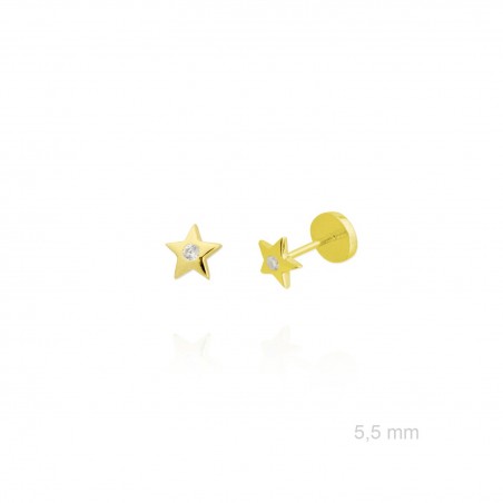 Boucles d'oreilles en Argent