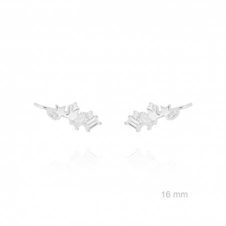 Trepador de Plata de Ley