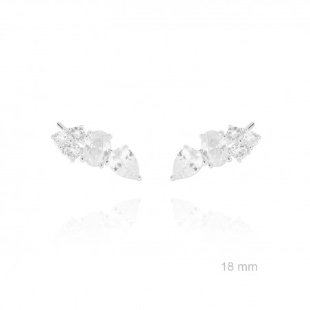 Grimpeurs d'oreille en Argent