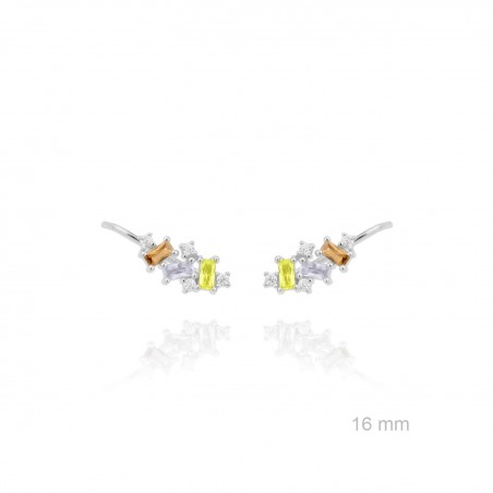 Grimpeurs d'oreille en Argent