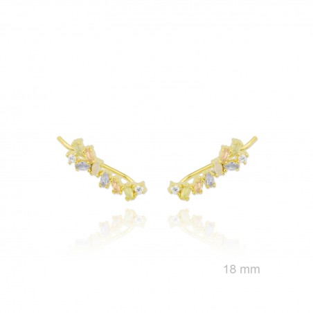 Grimpeurs d'oreille en Argent