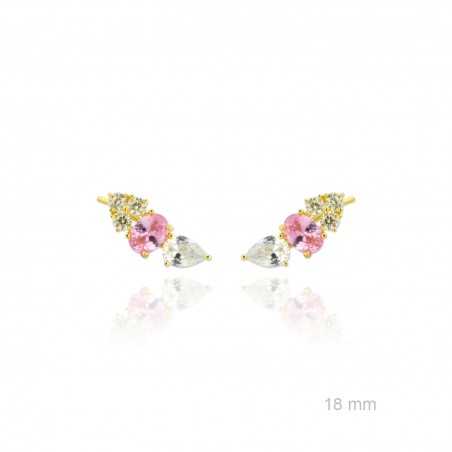 Grimpeurs d'oreille en Argent