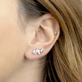 Silver Ear Climbers 2