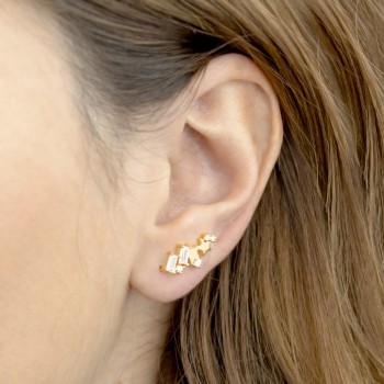 Trepador de Plata de Ley 2