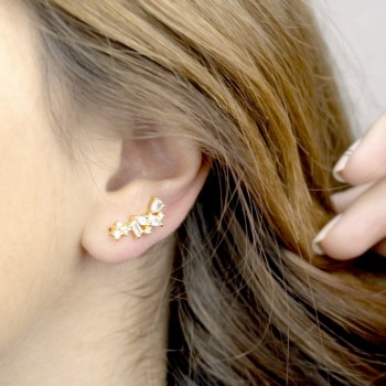 Silver Ear Climbers 2