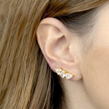 Trepador de Plata de Ley