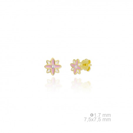 Pendientes de Plata de Ley 