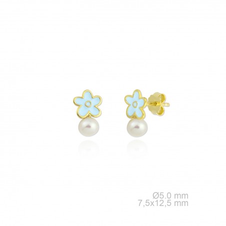 Boucles d'oreilles en argent