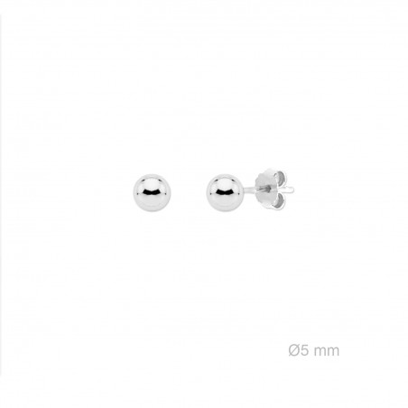 Boucles d'oreilles en Argent
