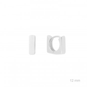 Silver earrings