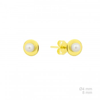 Pendientes de Plata de Ley 