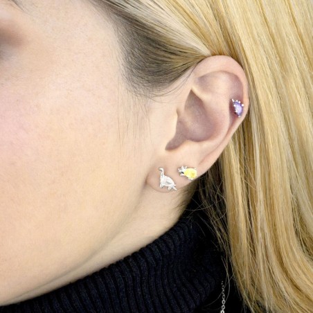 Pendientes de Plata de Ley con circonitas