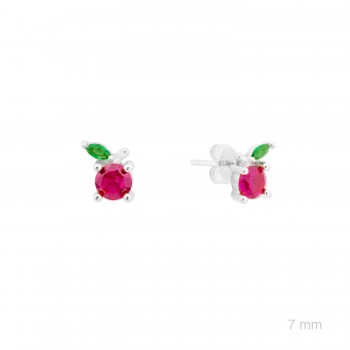 Pendientes de Plata de Ley...