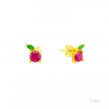 Pendientes de Plata de Ley...