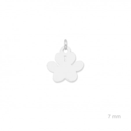 Empreinte de l'animal