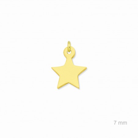 Charm de Plata de Ley (Estrella)
