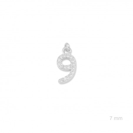 Charm de Plata de Ley (Número 9)
