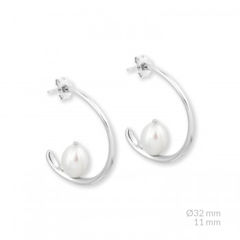 Silver Earrings