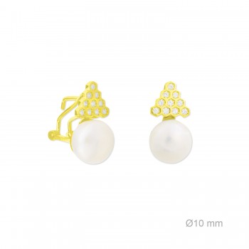 Boucles d'oreilles en Argent