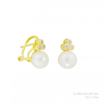 Silver Earrings