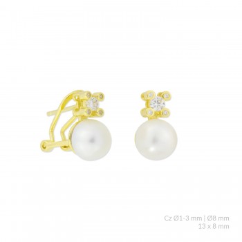 Boucles d'oreilles en Argent