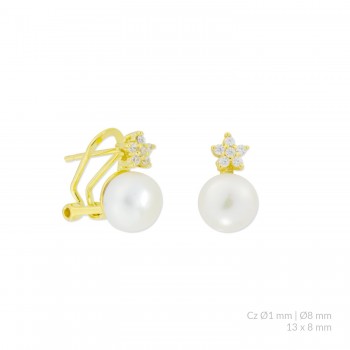 Boucles d'oreilles en Argent