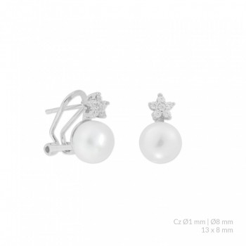 Pendientes de Plata de Ley