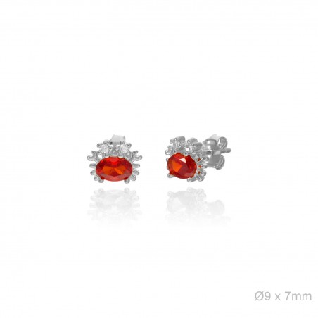 Boucles d'oreilles Zircons