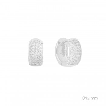 Silver earrings