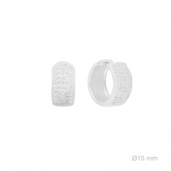 Silver earrings
