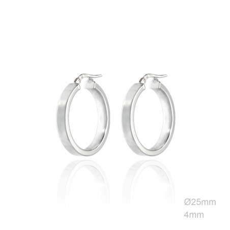 Earrings Sterling silver