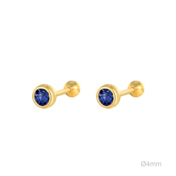 Earrings Piercings