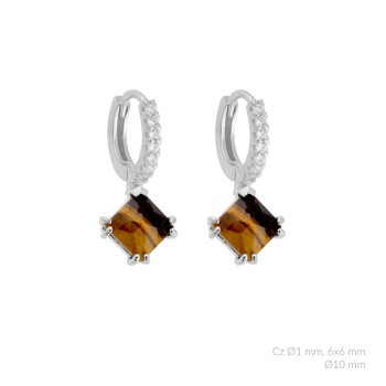 Silver earrings