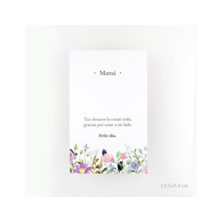 Gargantilla de Plata de Ley con circonitas