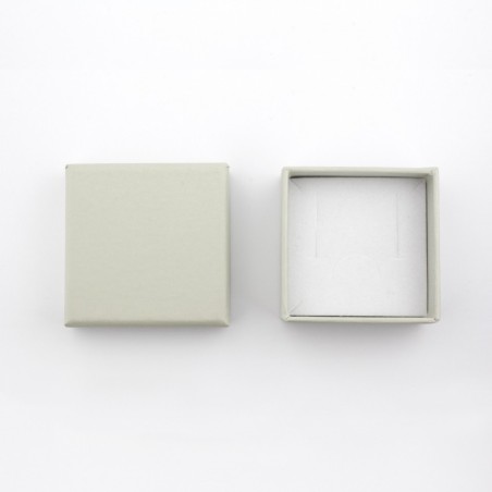 Pendientes de Plata de Ley