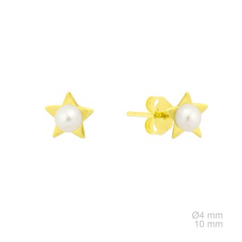 Pendientes de Plata de Ley  2