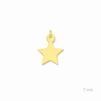 Charm de Plata de Ley... 2