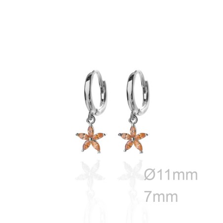 Pendientes Aro Estrella Circ Champagne