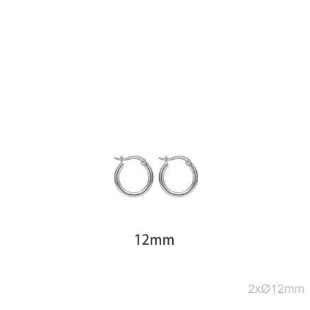 Stainless Steel Earrings