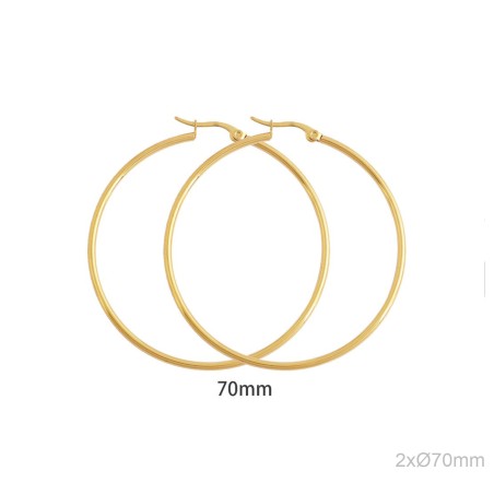 Stainless Steel Earrings