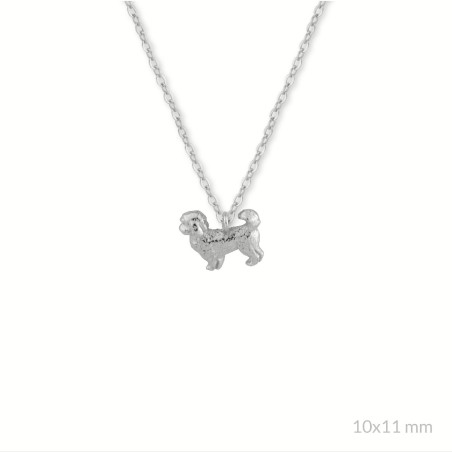 Silver necklace | Bichon Maltese