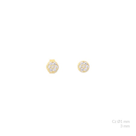 Silver earrings with cubic zirconium