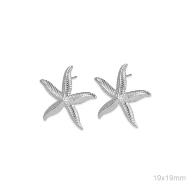CATALOGUE D'ACIER Boucles d'oreilles en Acier