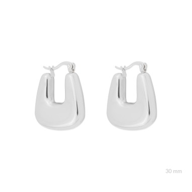 Stainless Steel Earrings