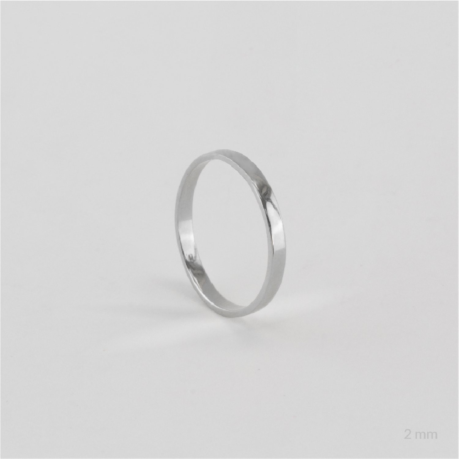 Alianza de Plata de Ley | 2mm Plana