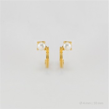 Boucles d'oreilles en Argent